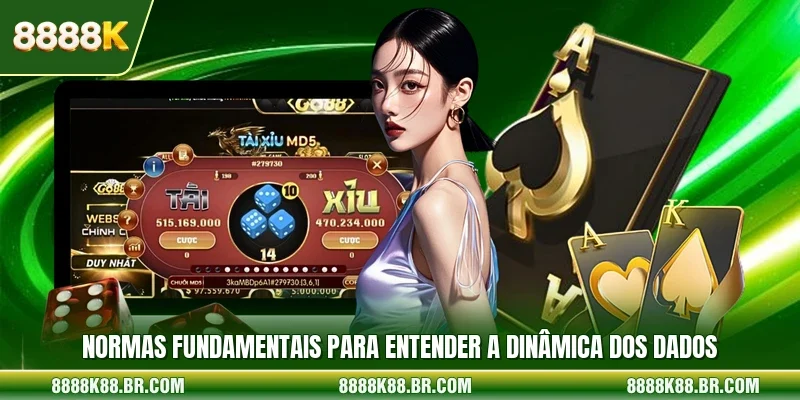Normas fundamentais para entender a dinâmica dos dados